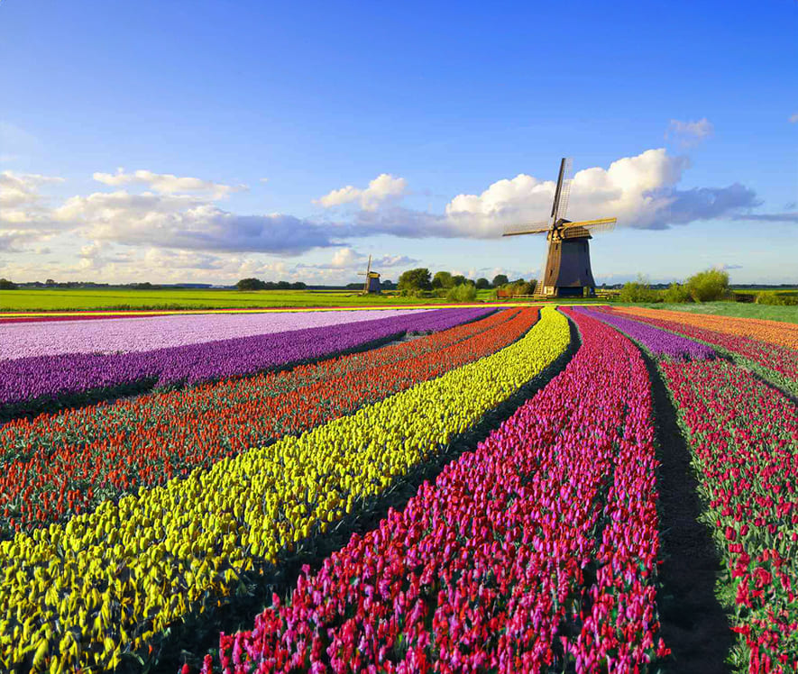 Netherlands